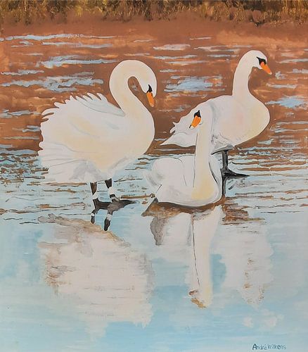 Wilde Zwanen buiten op 5 mm. dunne net bevroren ijslaag.g van Andre Wilkens