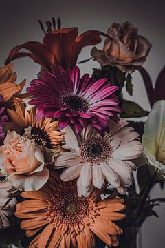 Still life Gerbera by Lisa Scheffler