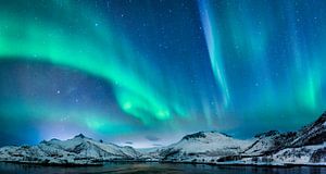 Nordlicht, Polarlicht oder Aurora Borealis am Nachthimmel über den Lofoten in Nordnorwegen. Breites 