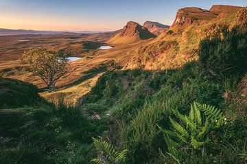 Schotland Isle of Skye De Quiraing Sunrise van Jean Claude Castor