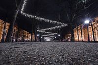 Lange Voorhout bei Nacht, Den Haag