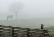 Landschap in de mist van Marcel van Balken thumbnail