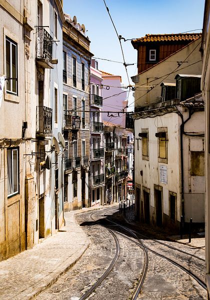 line 34 Lisbon by P Hogeveen