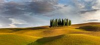Toscane Torrenieri panorama Italië van Peter Bolman thumbnail