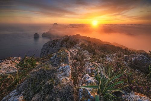 Spain Majorca Cap Formentor