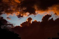 Eternal ephemeral beauty