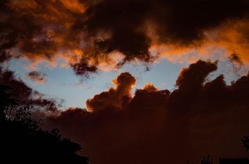 Eternal ephemeral beauty