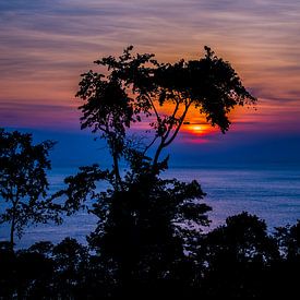 Zonsondergang in de tropen, tropical sunset van Corrine Ponsen