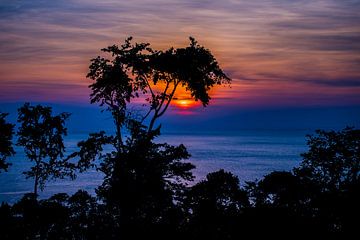 Zonsondergang in de tropen, tropical sunset van Corrine Ponsen
