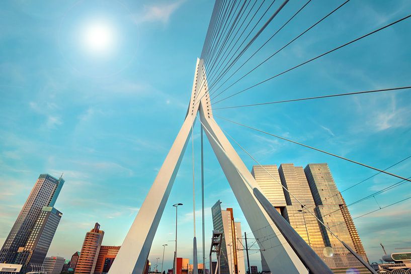 Le pont Érasme par une journée ensoleillée - Rotterdam par Chi