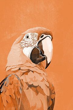 Perroquet Macaw en orange sur Whale & Sons