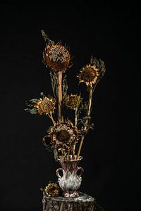 Die Sonnenuntergangsblume