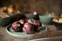 Hyacint op aardewerk schaal | fine art stilleven fotografie in kleur | print muur kunst