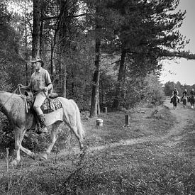 Cowboy van Karin School-van Leur