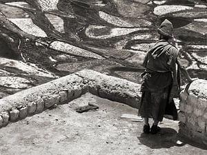 Mönch im Karsha-Kloster überblickt die Felder im Tal von Affect Fotografie