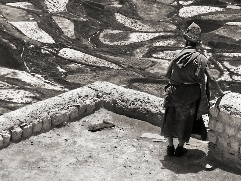 Un moine du monastère de Karsha surplombe les champs de la vallée par Affect Fotografie