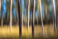 Herfst bos van Richard van den Hoek thumbnail