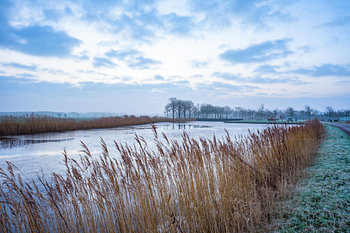 Un samedi matin froid à Heerenveen