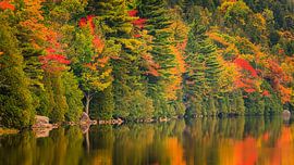 Bubble Pond in Herbstfarben von Henk Meijer Photography