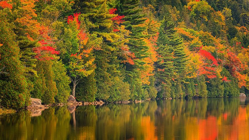 L'étang de Bubble aux couleurs de l'automne par Henk Meijer Photography