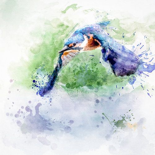 Flying kingfisher