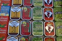 Sardines