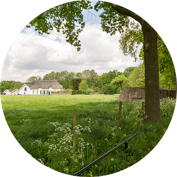 Voorjaar op Rhijnauwen