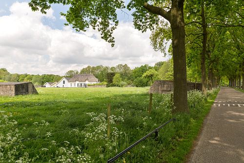 Voorjaar op Rhijnauwen