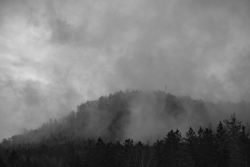 Forêt dans le brouillard dans les montagnes de l'Elbsandstein par Martin Köbsch