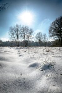 Winterwunderland