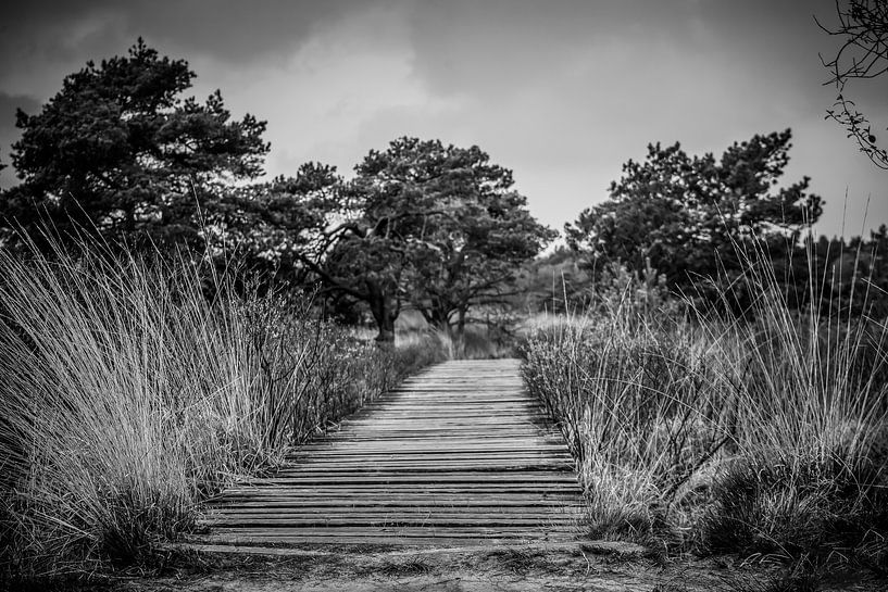 Bridge in black and white by Esther Bax