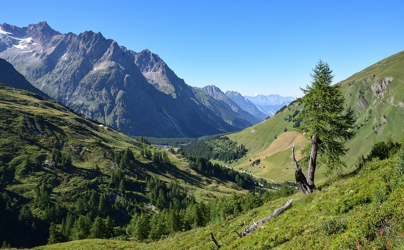 Alpine landscape in Switzerland by Jarne Buttiens
