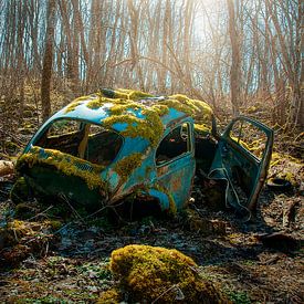 a day in the woods - verlassenes Auto von theresa niemann