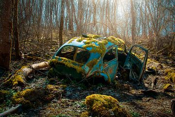a day in the woods - verlassenes Auto von theresa niemann