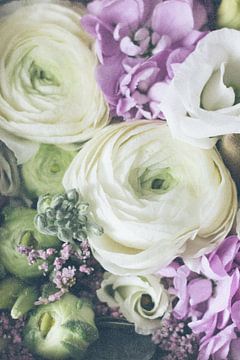 Lovely Ranunculus, Anastasia Sawall by 1x