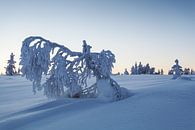 Fins Lapland par Luc Buthker Aperçu