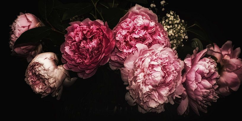 Peonies - Dark Elegance by Marlika Art