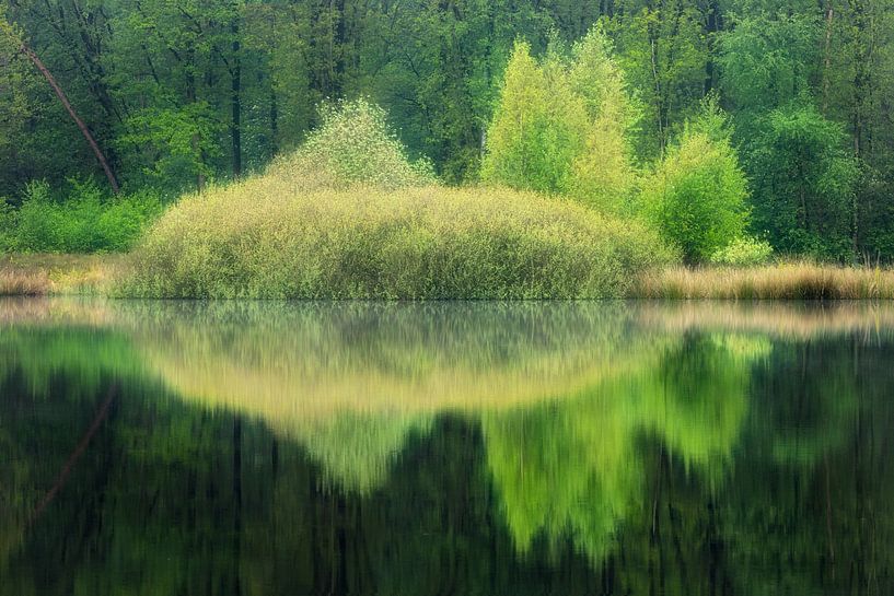 Reflection at the Hatertse Vennen by Michel Seelen
