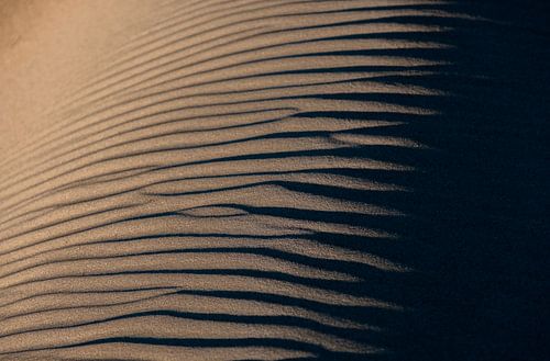 Amsterdamse Waterleiding Duinen