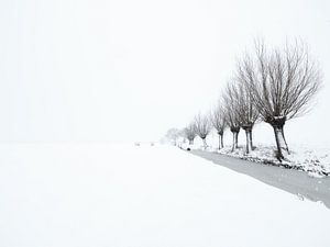 Ein Schneeschauer färbt die Landschaft im Polder weiß - Noordeloos
