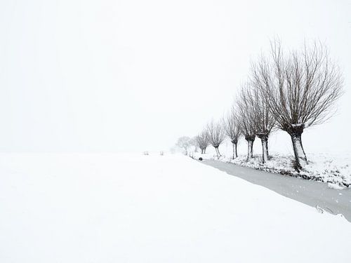 Een sneeuwbui kleurt het landschap wit in de polder - Noordeloos