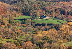 Profitez de l'automne 2020 dans le sud du Limbourg sur John Kreukniet