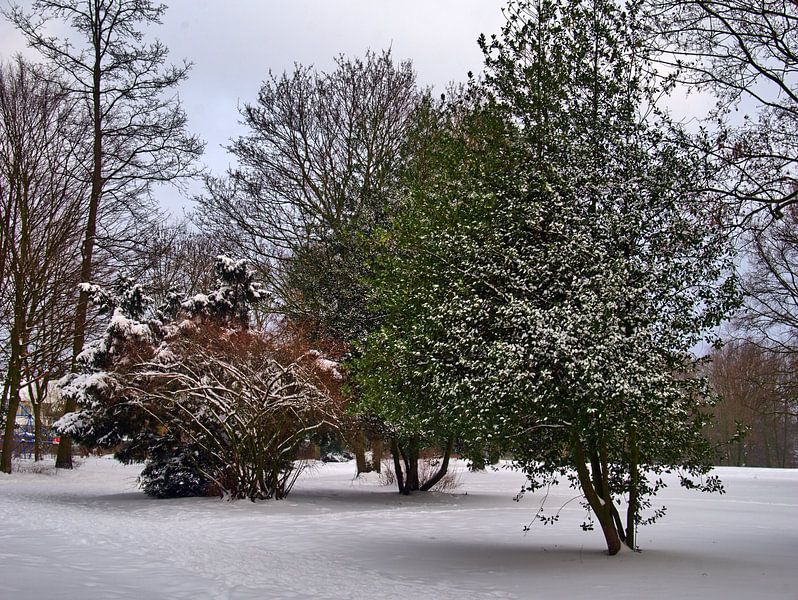 Alluviale Winter van Edgar Schermaul