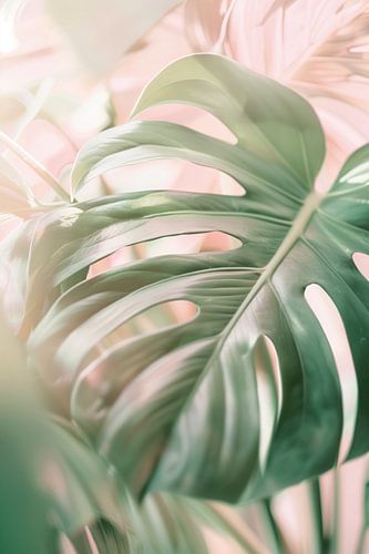 Monstera Blad | Zachte Pasteltinten