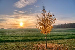 Coucher de soleil d'automne
