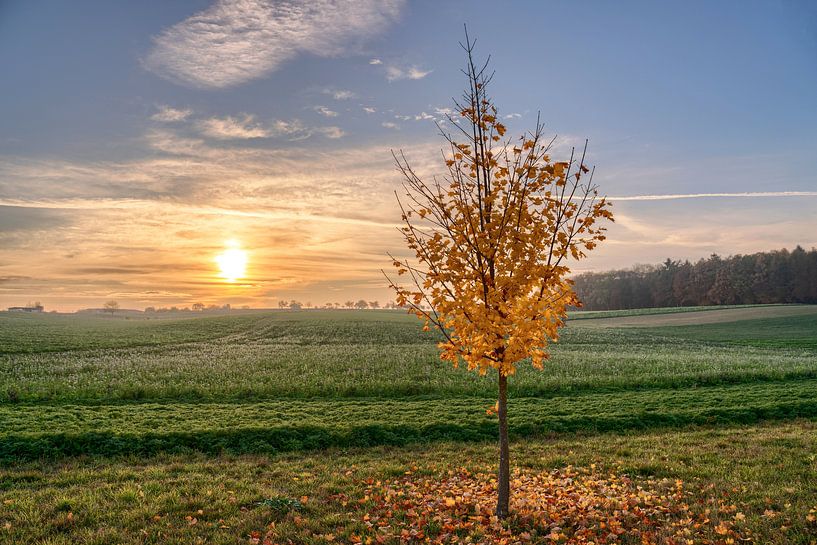 Herbstlicher Sonnenuntergang von Uwe Ulrich Grün