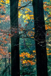 Herbst