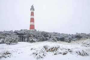 Ameland Winterwunderland