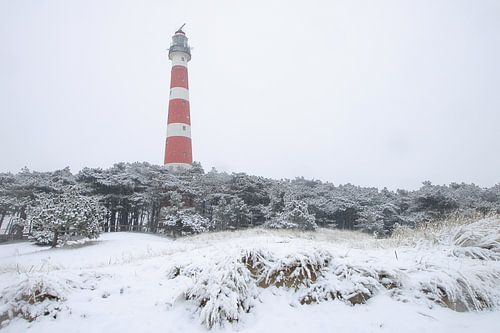 Ameland winterwonderland