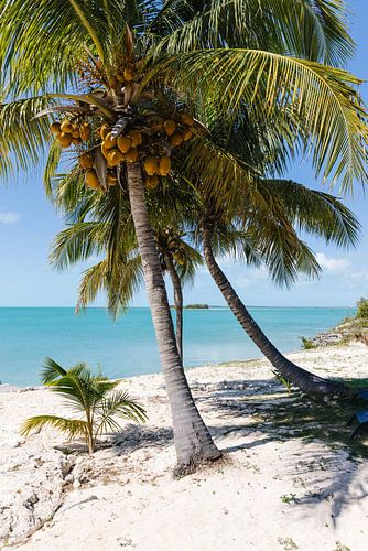 Caribbean Style von swc07
